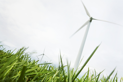 Nederland scoort slecht op gebied van duurzame energie