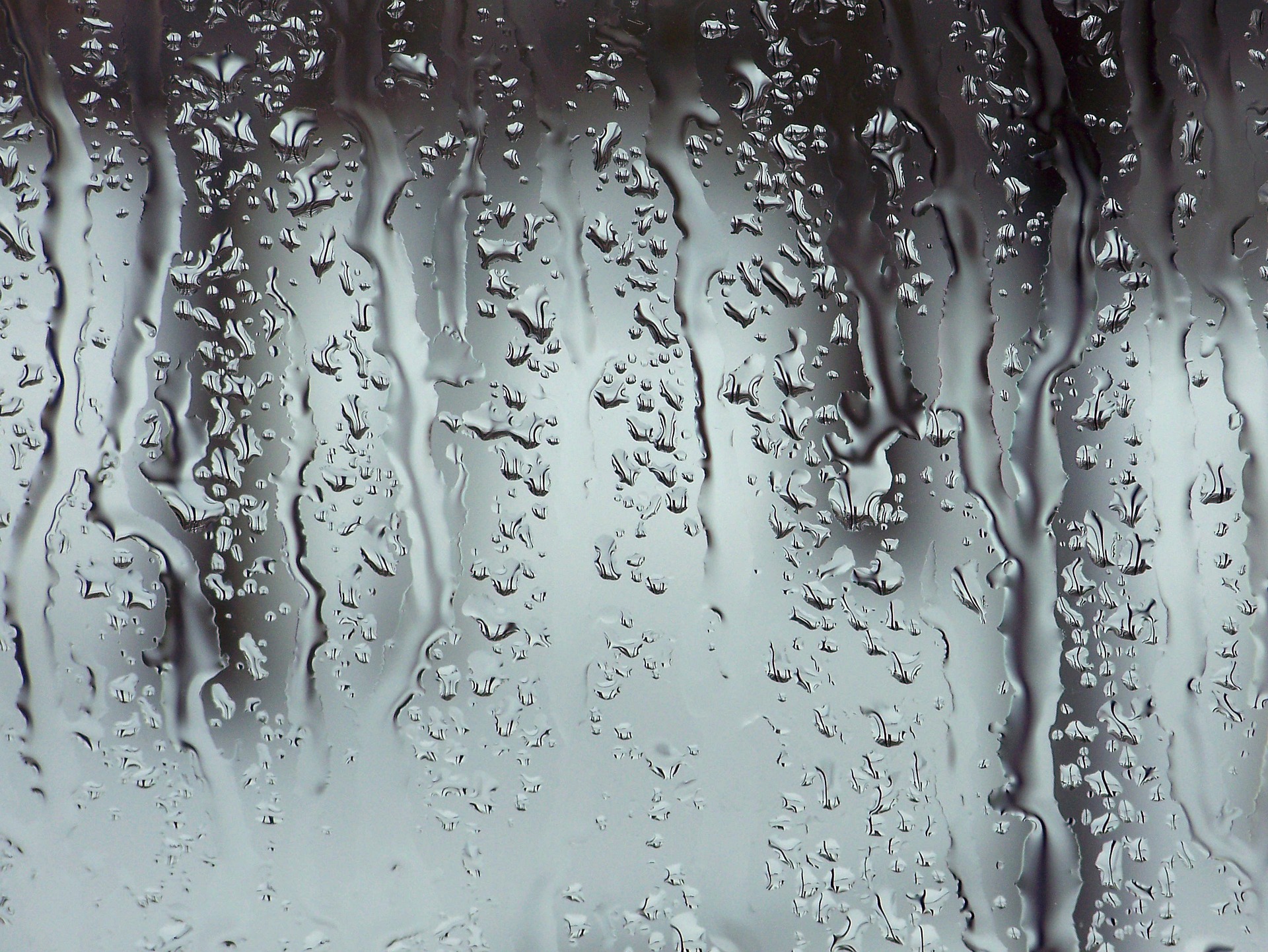 Wat dekt je verzekering bij waterschade door lentebuien?